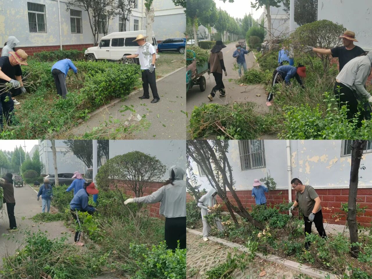 【魯南電商】共建美麗園區(qū)，我們在行動！