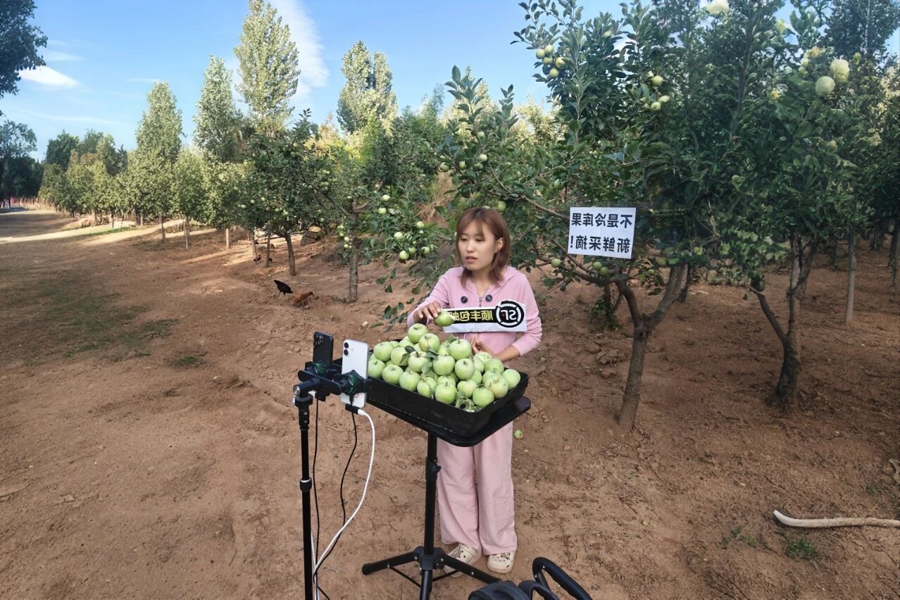 決戰(zhàn)四季度，圣家樂購雙十一全域發(fā)力促增長2